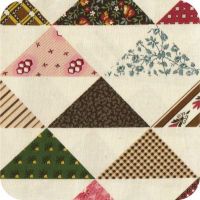 N554 113T Rocky Mountain Quilt Museum III FQ
